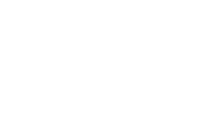 Agents in Texas