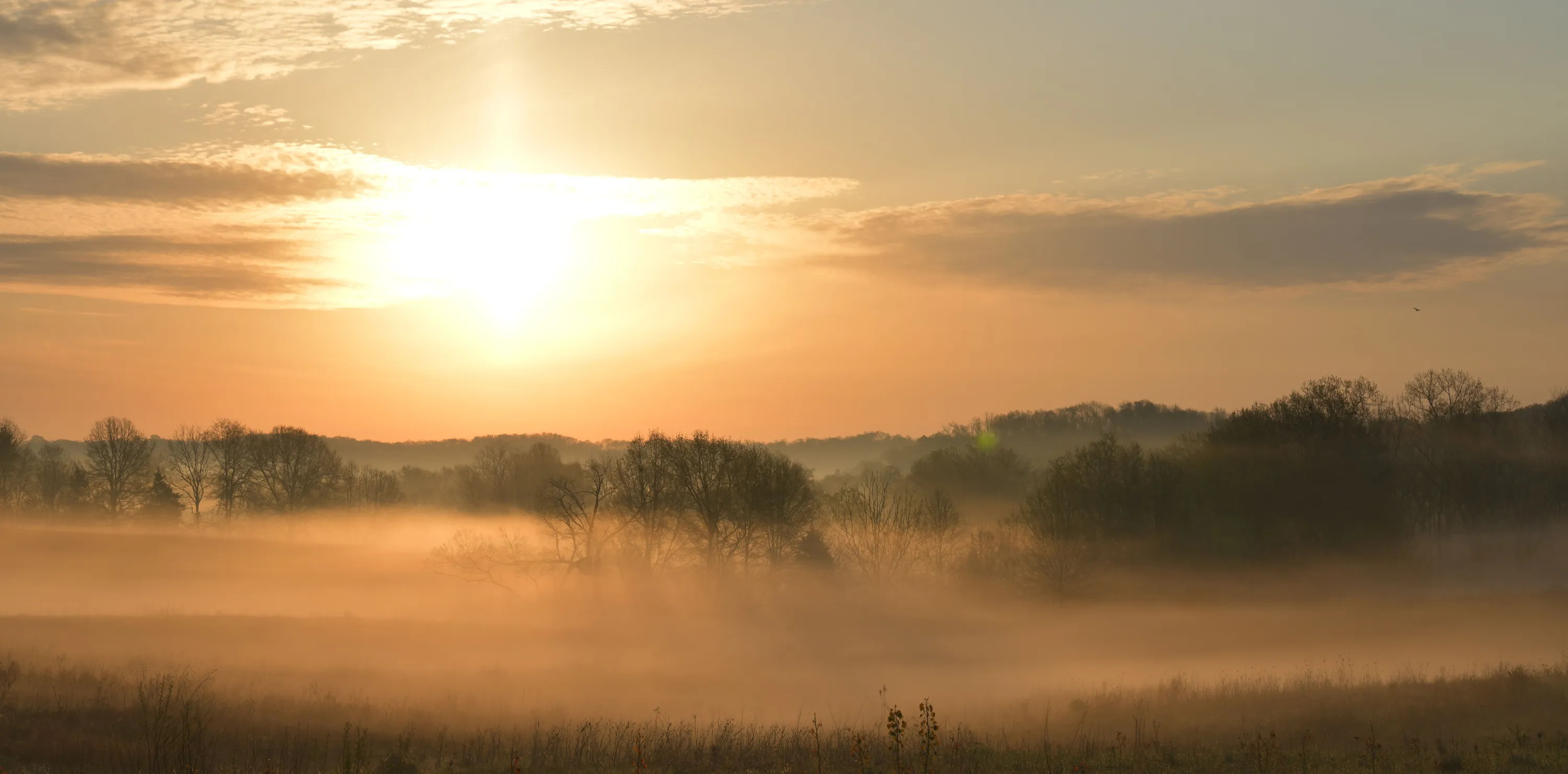 sun setting behind grasslands