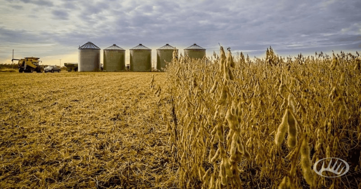 Featured Image for 5 States With Great Waterfowl Hunting Property