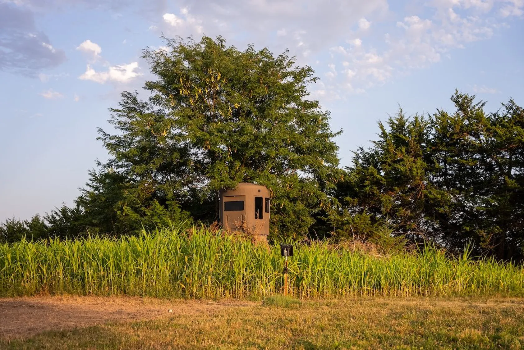 Large green cylindrical hunting blind or feeder on elevated legs positioned in open field, demonstrating trail camera monitoring equipment setup