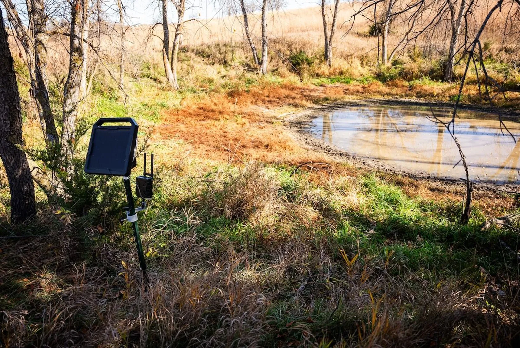 Trail camera mounted near small pond or water source in wooded area, positioned to capture wildlife activity at watering locations