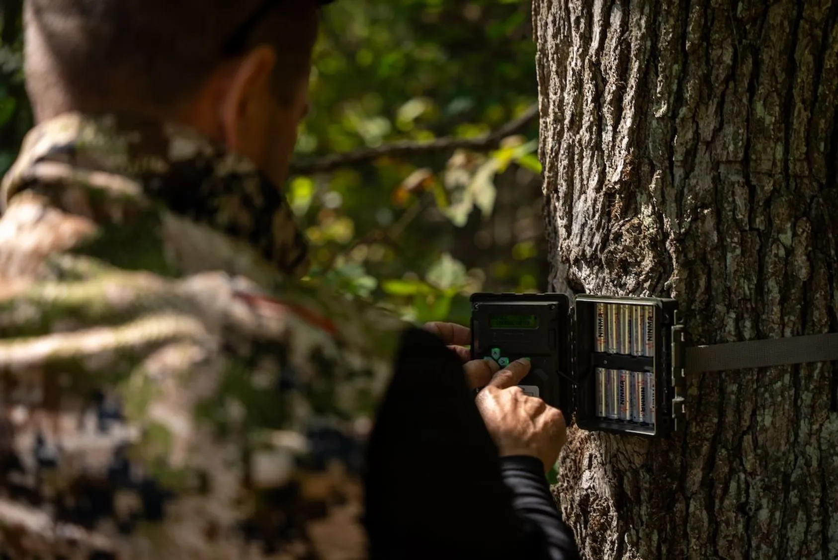 Hunter in camouflage setting up or checking trail camera equipment on tree trunk, demonstrating proper camera placement techniques