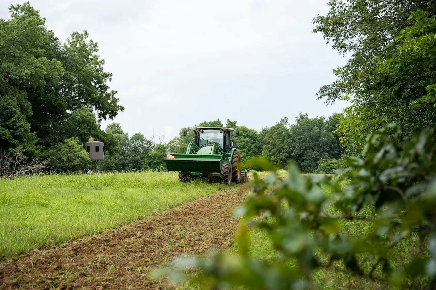 Green tractor tilling soil along a dirt path through a grassy field bordered by dense trees