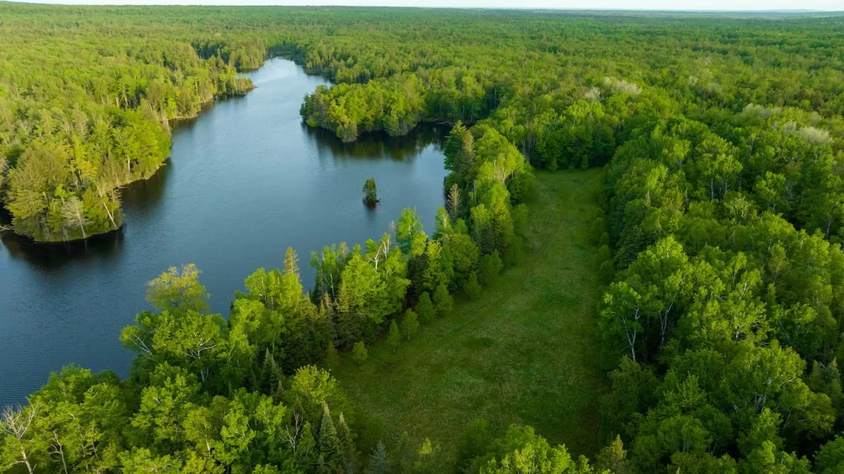 Aerial view of a calm lake or pond surrounded by dense forest with a small grassy clearing