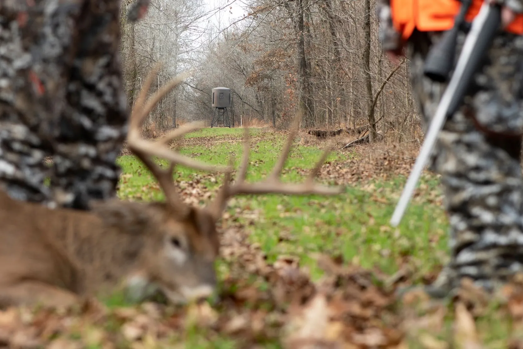 Blurred view through camouflage hunting blind showing deer feeder in distance along wooded path with bare trees