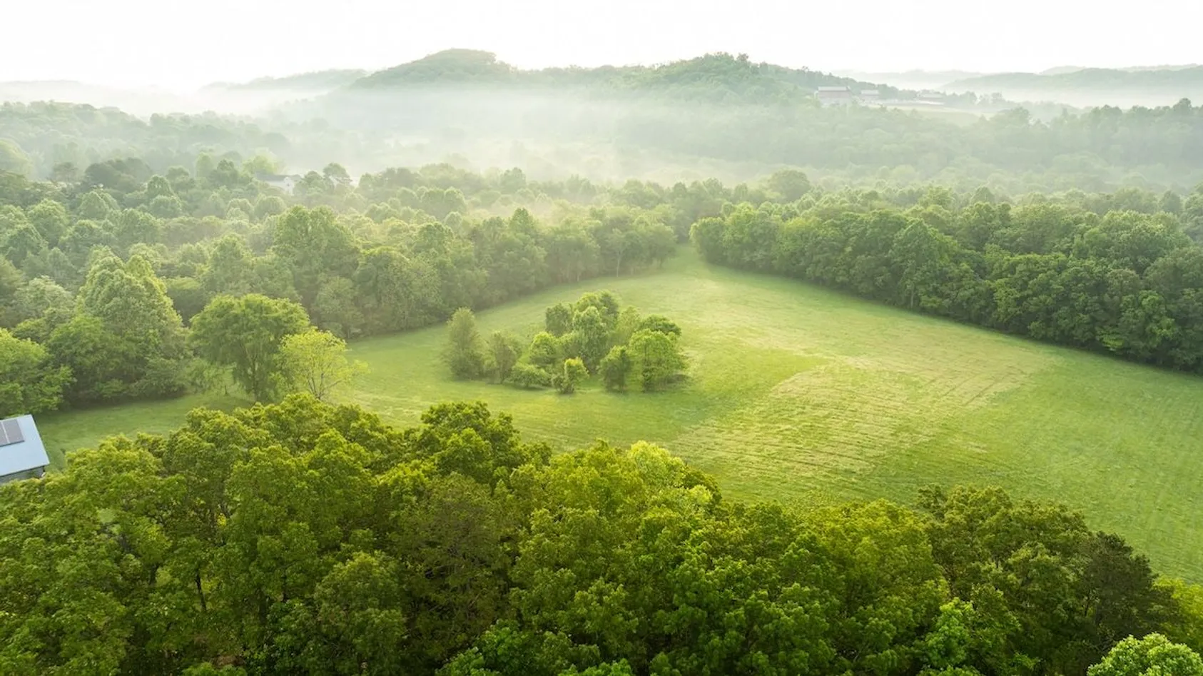 Misty morning aerial view of green pasture clearing surrounded by dense forest with hills in background.