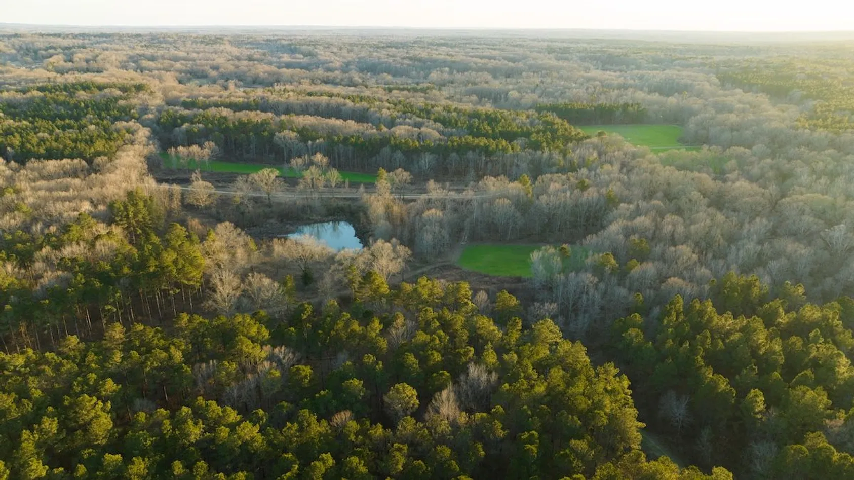 Aerial view of wooded landscape in early spring with small pond and patches of green food plots among bare trees.
