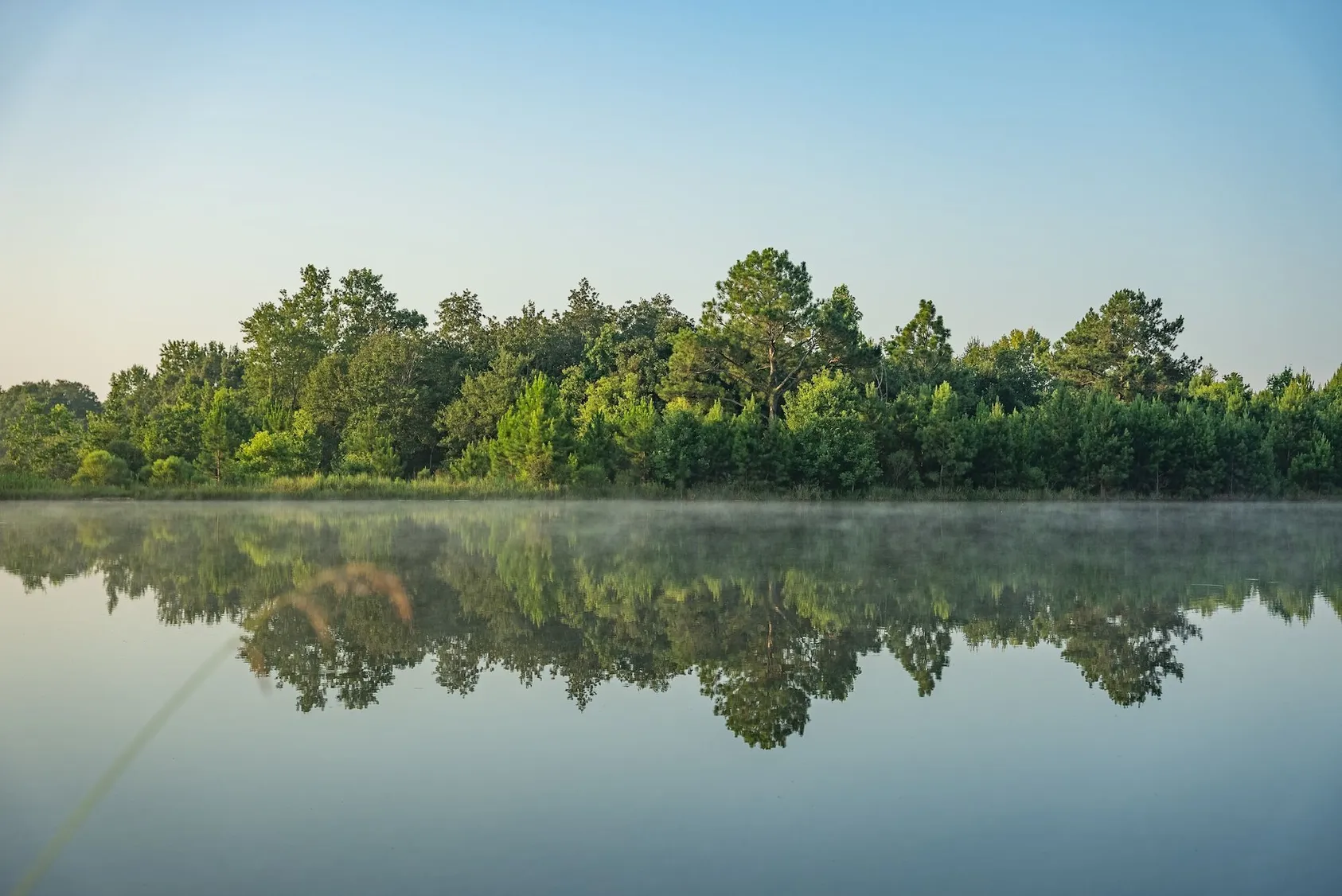 Calm lake with morning mist reflecting dense green forest treeline under clear blue sky