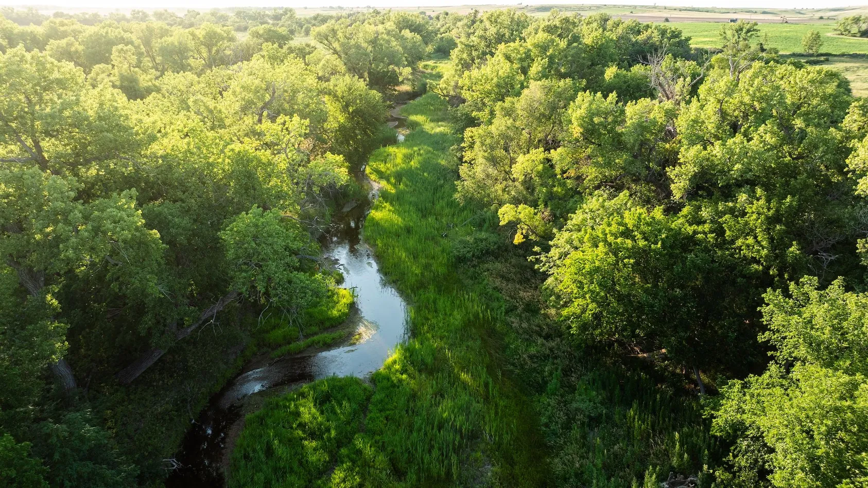 Aerial view of winding creek with lush green vegetation flowing through dense tree canopy with agricultural fields in distance