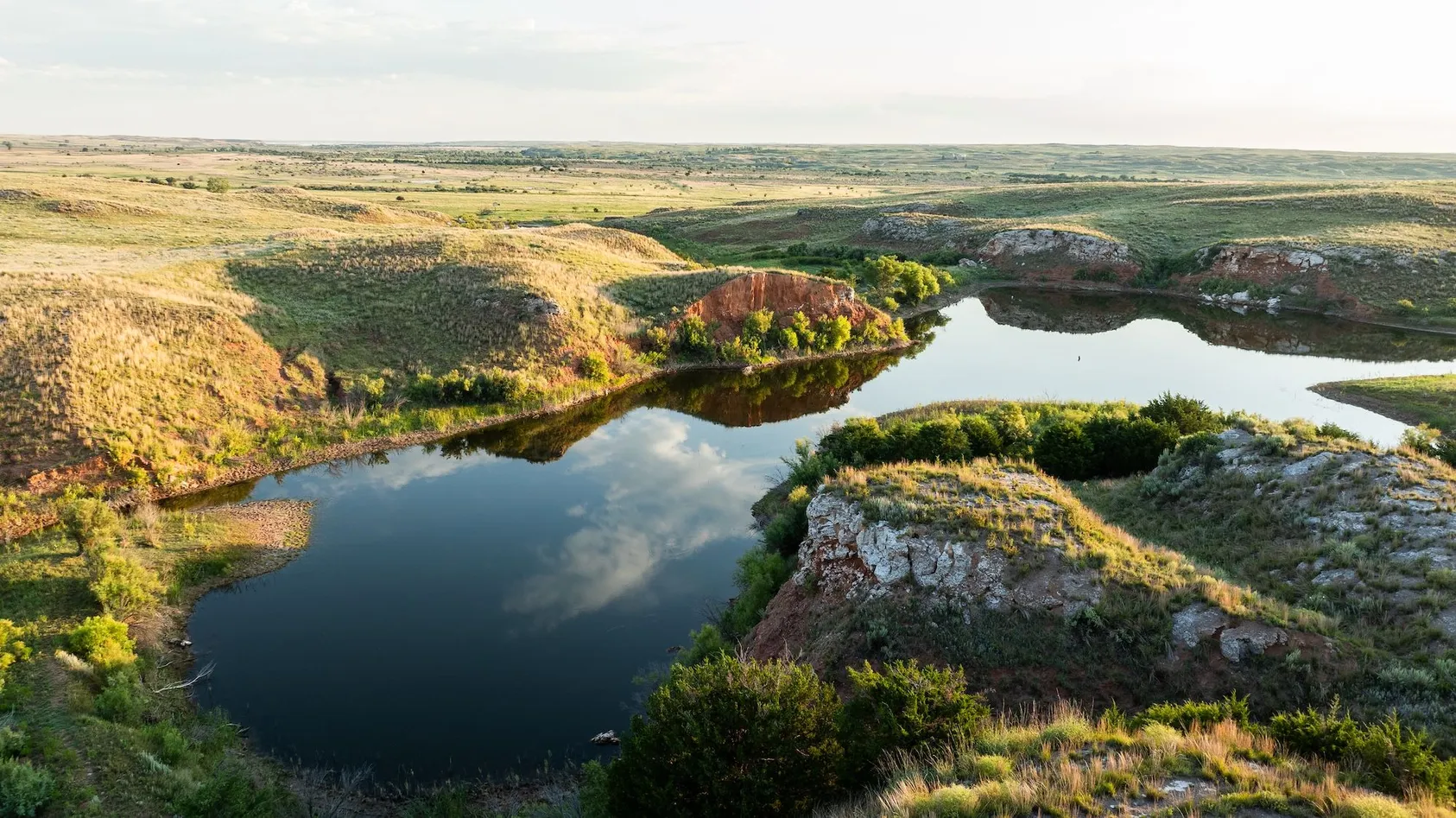 From Wildlife to Water Quality: The Benefits of NRCS Conservation Planning Featured Image