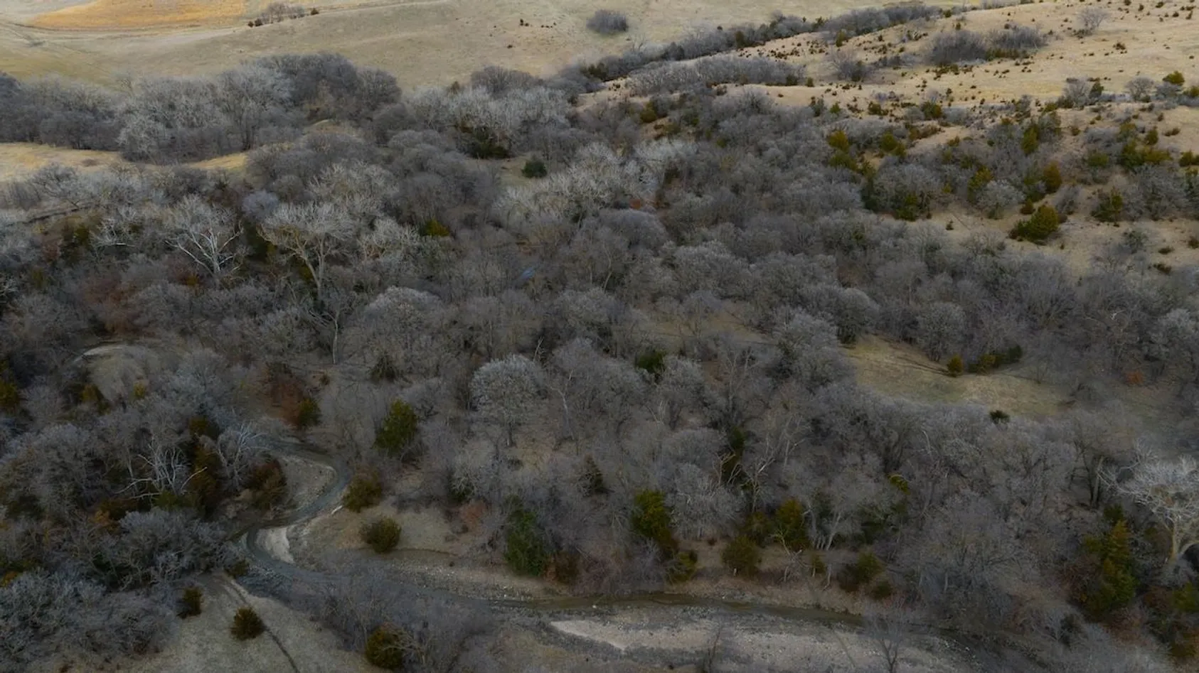 Featured Image for How Buying Farmland in North and South Dakota Can Build Generational Wealth