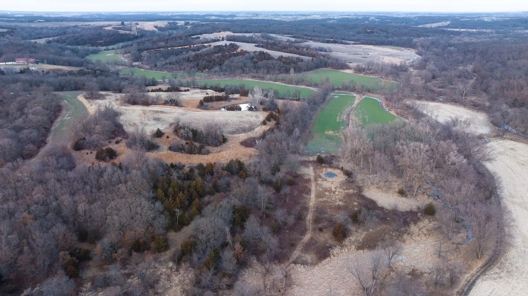 Winter aerial view of mixed farmland with bare fields, patches of green pasture, and scattered wooded areas.