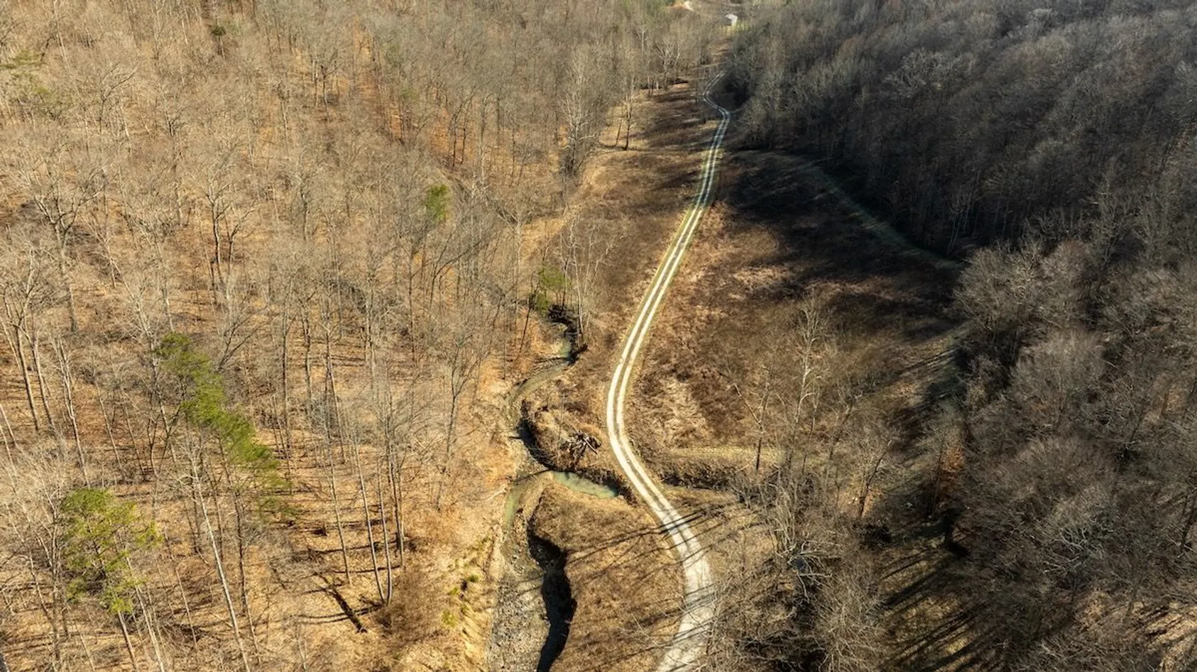 Aerial view of utility right-of-way corridor cutting through bare winter forest with fallen trees.