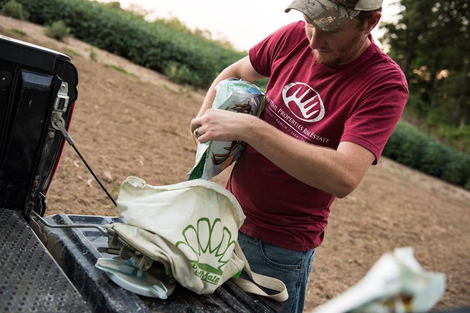 Featured Image for Best Spring Food Plots For Deer