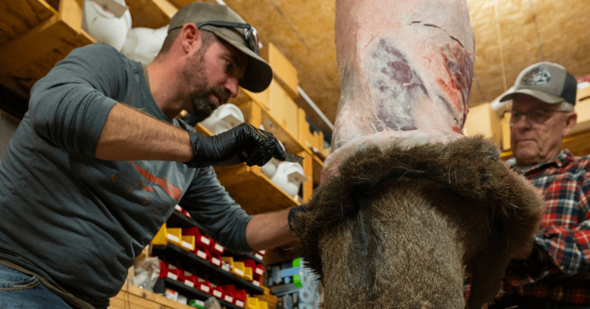 Deer-Processing-5