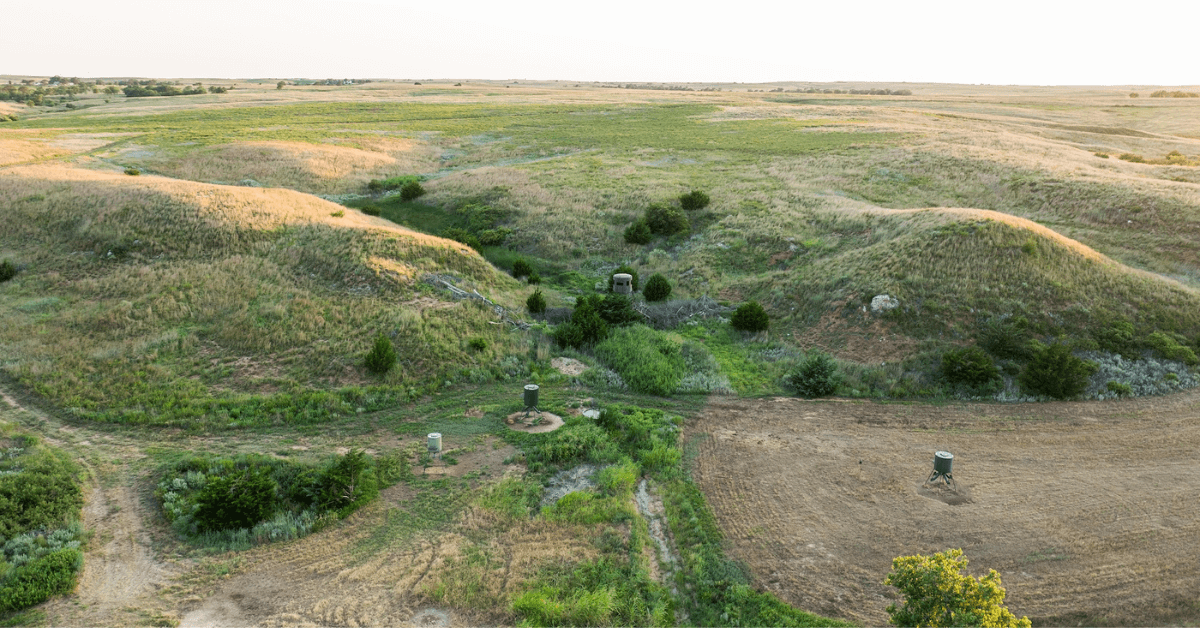 Featured Image for Proven Food Plot Designs to Attract Whitetail Deer