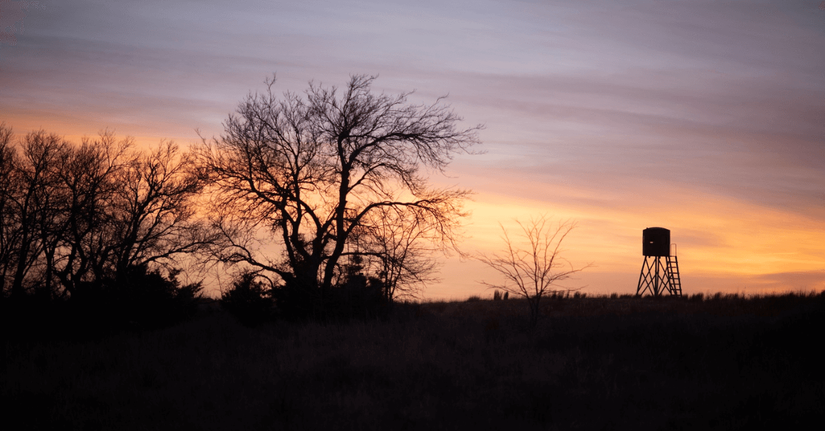 Tips on Buying Hunting Land (and Words from a New Farm Owner) Featured Image