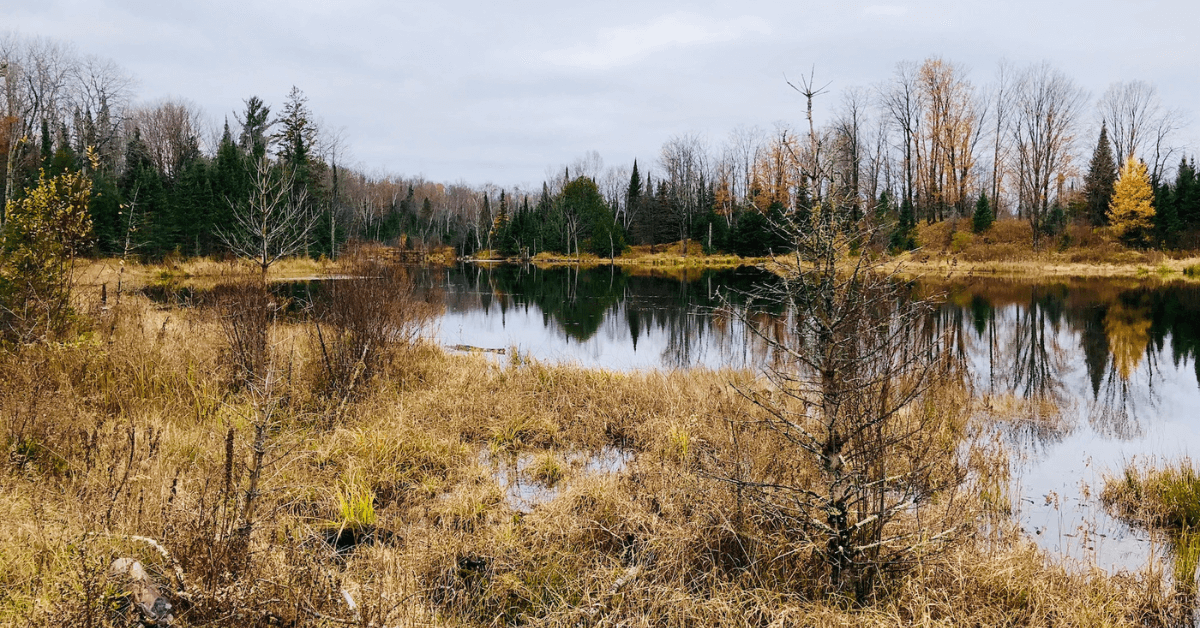 Tips-on-Buying-Hunting-Land-6